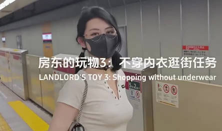 房东的玩物不穿内衣逛街任务剧情 封面
