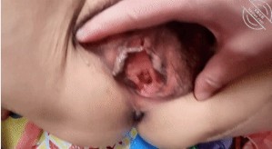 与五十多岁熟女的故事剧情 封面