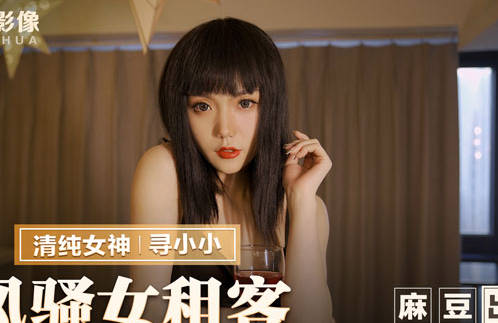MMZ-034风骚女租客-寻小小 封面