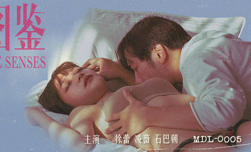 MDL-0005女子图鉴-徐蕾 凌薇 封面