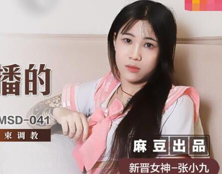 MSD-041JK主播的迷奸餐-张小九 封面