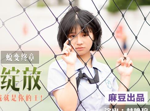叮叮映画DD-005情如烟花绽放-林晚琬 封面