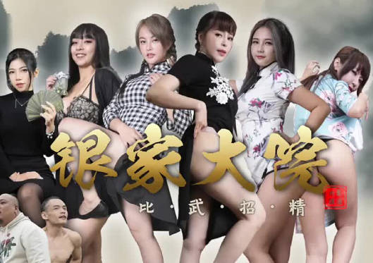 银家大院之比武招精 封面