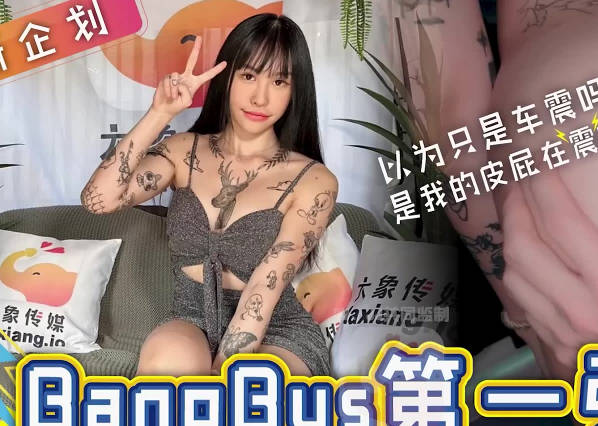 大像传媒之大象号第一弹-皮皮剧情 封面